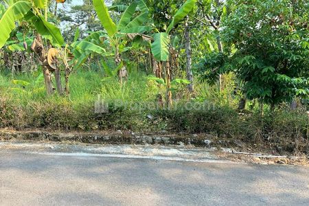 Dijual Tanah Kebun Durian 1700m² 170 Juta di Mojogedang Karanganyar Jawa Tengah