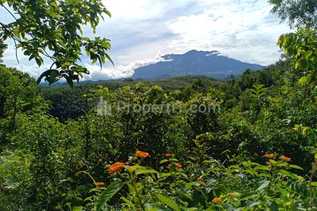 Dijual Tanah Pekarangan 75 Juta Mojogedang Karanganyar