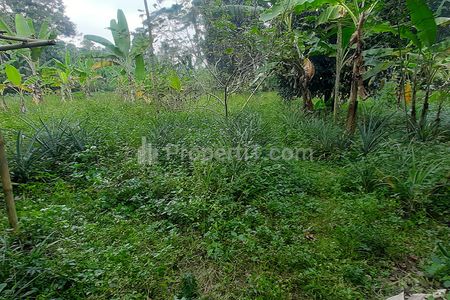 Dijual Tanah Kebun di Jalan Raya Cagak Subang Jawa Barat