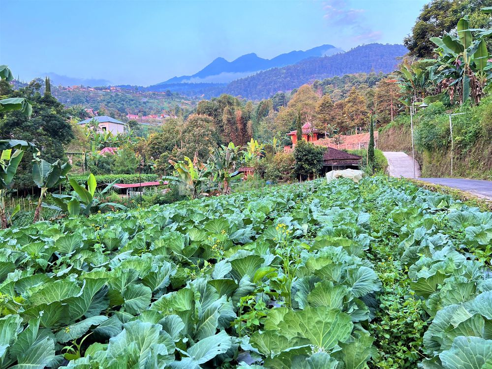 Dijual Tanah 125 Juta di Kota Wisata Kemuning Karanganyar