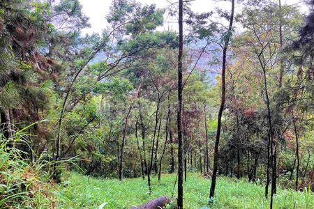 Dijual Tanah 1826m² di Komplek Hutan Pinus Kemuning Karanganyar