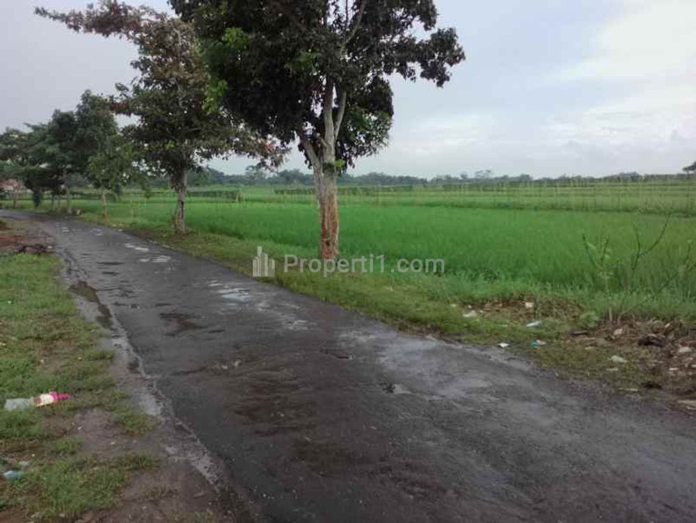 Jual Tanah untuk Indutri dan Perumahan Strategis dekat Jalan Raya Gunungsari Pagaden Subang Jawa Barat