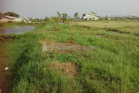 Dijual Tanah untuk Bangun Gudang Pinggir Jalan dekat Jalan Pantura Losarang Indramayu