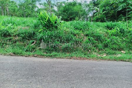 Dijual Tanah 3512m² View Hamparan Kebun Teh Kemuning Ngargoyoso Karanganyar