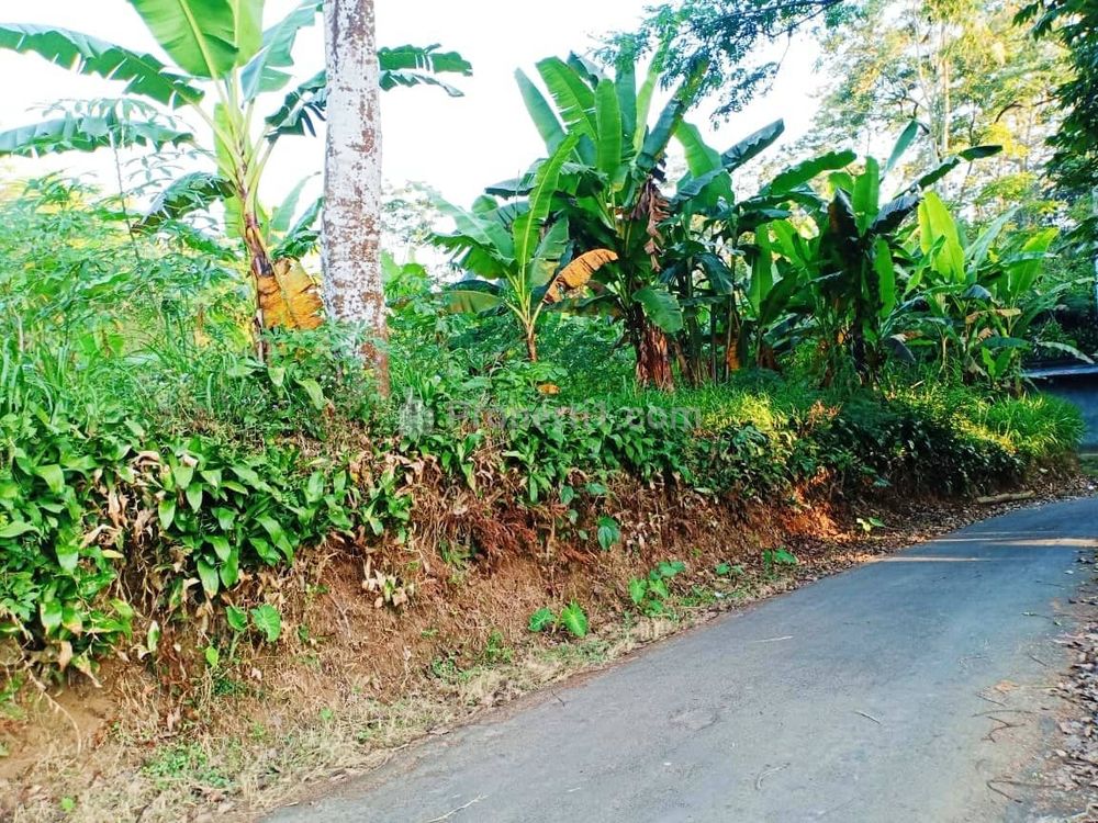 Dijual Tanah Datar Luas 3000m² di Kemuning Ngargoyoso Karanganyar