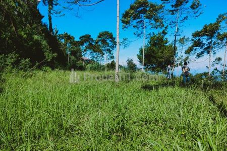 Dijual Tanah Cocok untuk Wisata Camping Ground di Kemuning, Ngargoyoso, Karanganyar