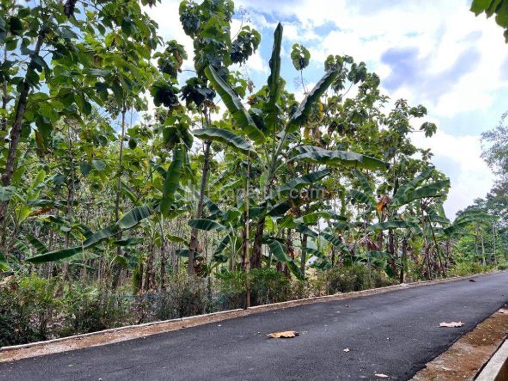 Dijual Tanah Pekarangan Super Datar Luas 418m2 di Kerjo Karanganyar