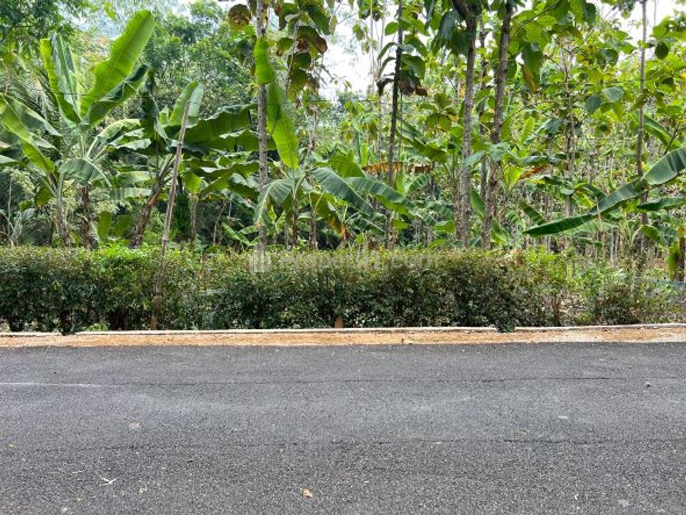 Dijual Tanah Pekarangan Super Datar Luas 418m2 di Kerjo Karanganyar