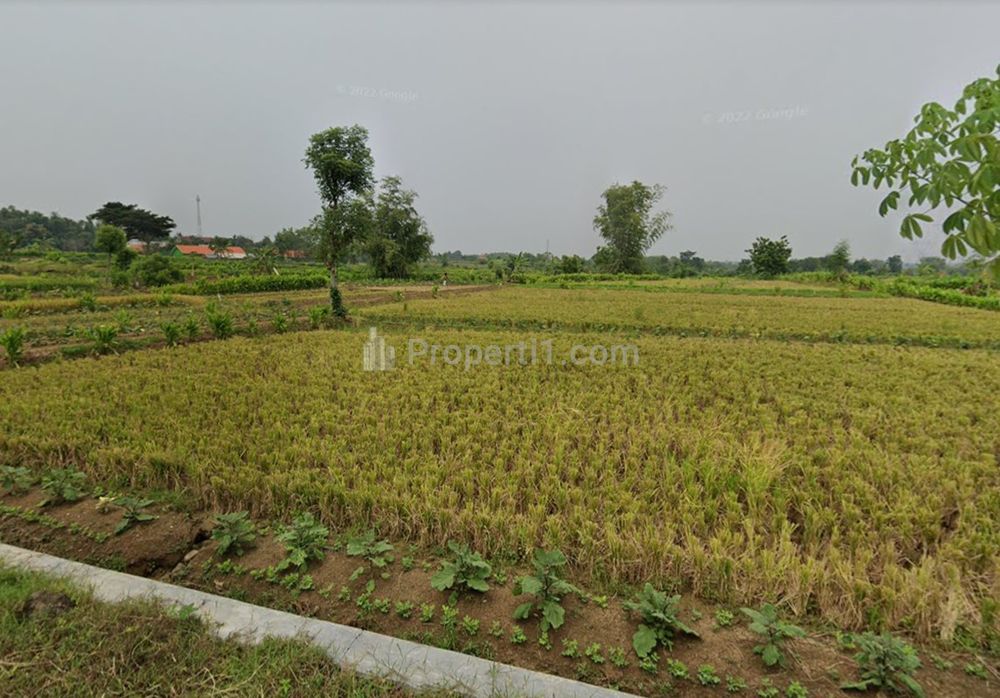 Jual Tanah Murah di Slempit Kedamean Gresik - Area Persawahan