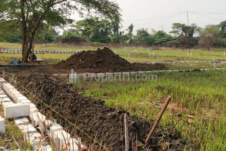 Jual Tanah Luas dan Murah di Kawasan Tlogo Bedah Menganti Gresik - Luas 1700 m2