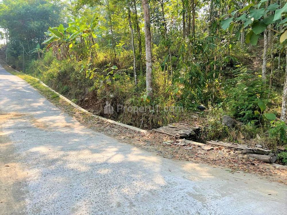Dijual Kebun Jati Murah di Utara Kantor Kecamatan Kerjo Karanganyar