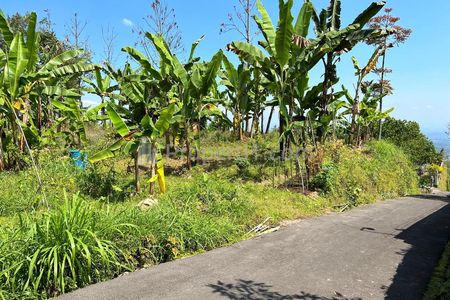 Dijual Tanah Hook 1800m² di Kemuning Ngargoyoso - Lingkungan Asri, Udara Dingin