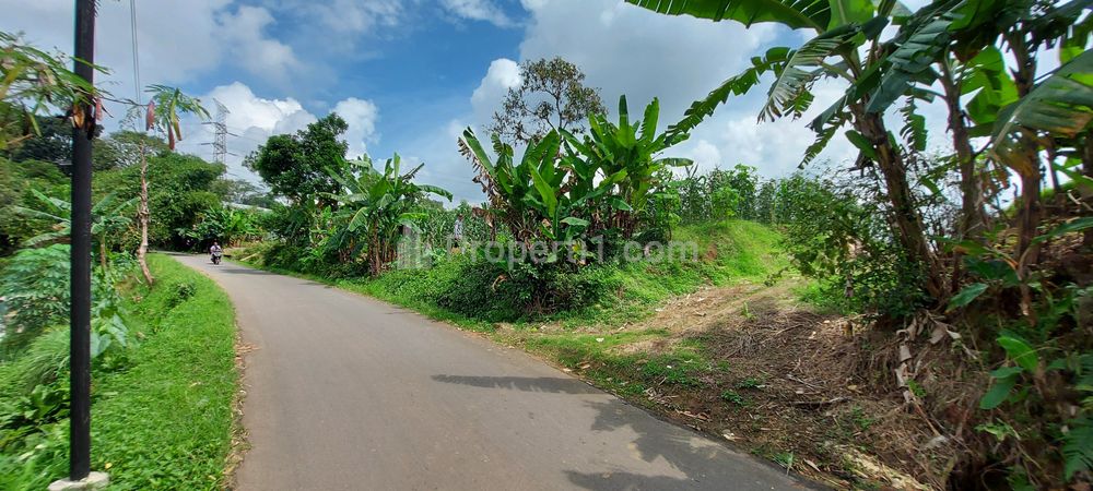 Dijual Tanah Murah Pinggir Jalan di Leuwiliang Bogor
