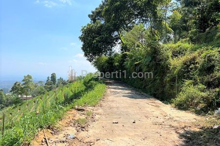 Dijual Tanah 2000m2 Cocok Bangun Villa di Kemuning Karanganyar - Lingkungan Asri, Udara Dingin