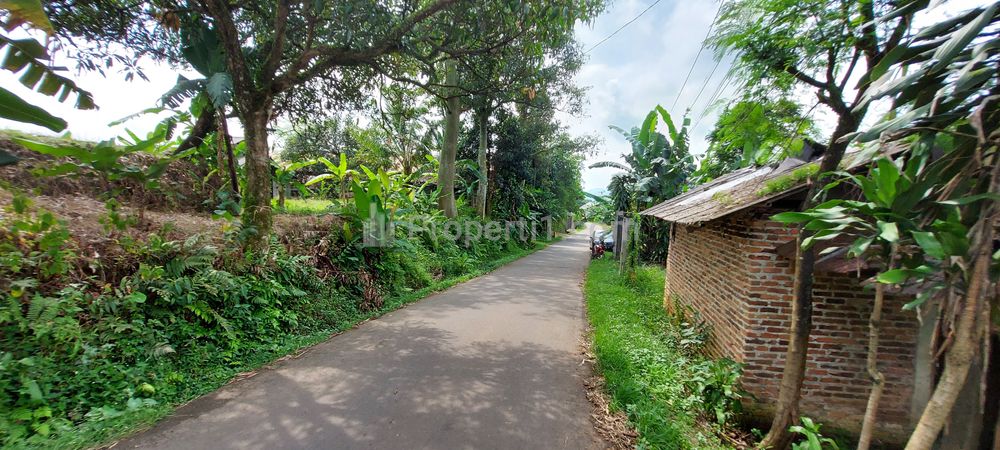 Dijual Tanah Murah Pinggir Jalan di Leuwiliang Bogor