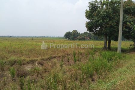 Dijual Tanah Industri dan Gudang Pinggir Jalan Jungjing Sanca dekat Gerbang Tol Cikedung Indramayu