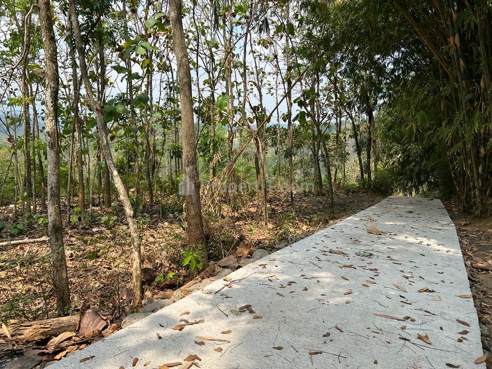 Dijual Tanah dekat Aliran Sungai Pegunungan Karanganyar - Luas 4606 m2 SHM