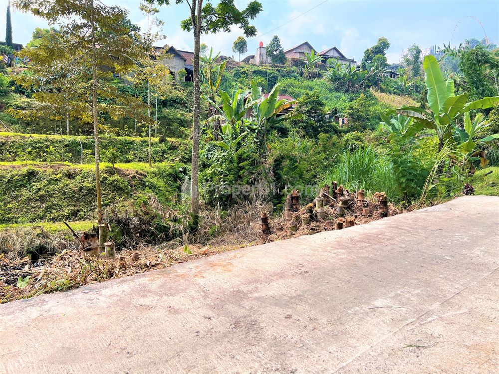 Dijual Tanah 60m² 70Jt Dikelilingi Wisata Kemuning, Ngargoyoso, Karanganyar - Udara Dingin