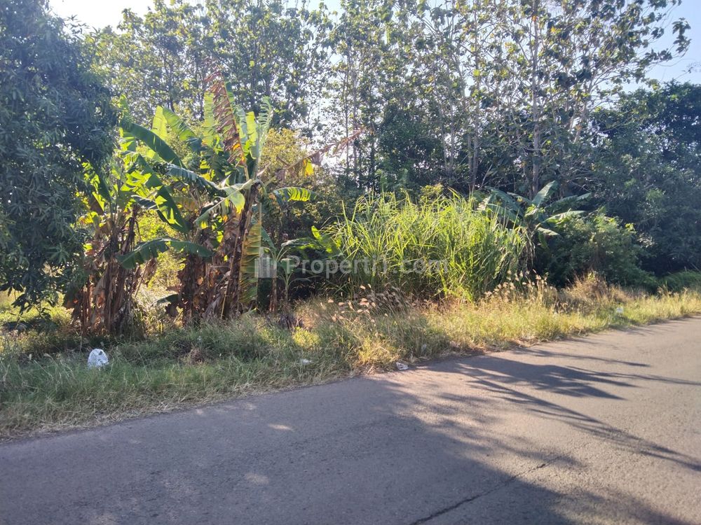 Dijual Tanah untuk Industri atau Gudang di Pinggir Jalan Gantar Bantarhuni Indramayu