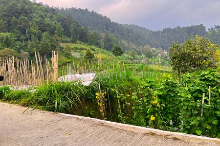 Dijual Tanah 410m² dekat Candi Sukuh Kemuning, Ngargoyoso, Karanganyar