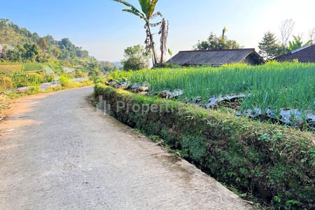 Dijual Tanah Datar di Kemuning Ngargoyoso Karanganyar - Luas 211m2 SHM