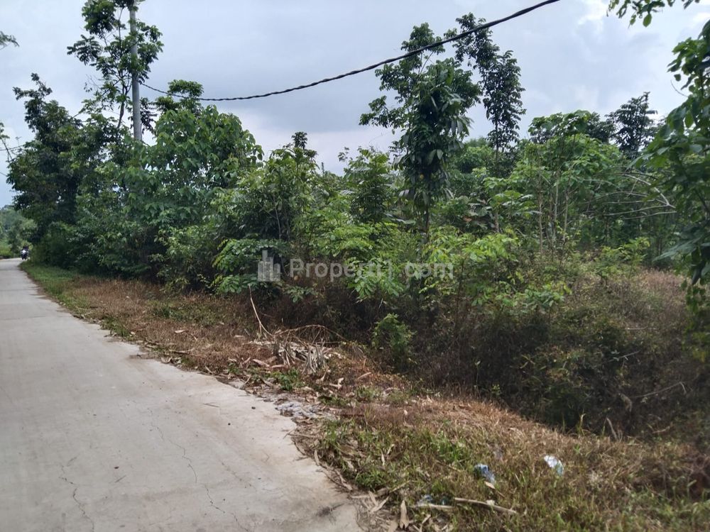 Dijual Tanah untuk Bangun Gudang atau Perumahan di Zona Gudang Desa Sembung Subang Jawa Barat
