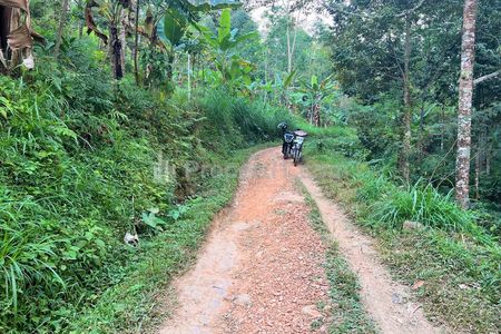 Dijual Kebun Durian 1300m2 di Kemuning Ngargoyoso Karanganyar