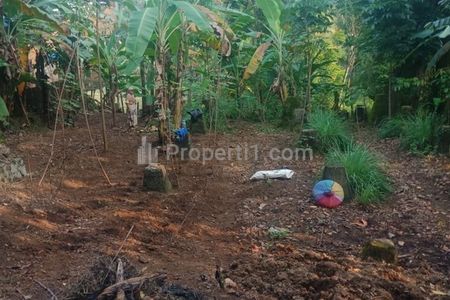 Jual Tanah Kebun Produktif di Citeureup Bogor - Luas 768 m2