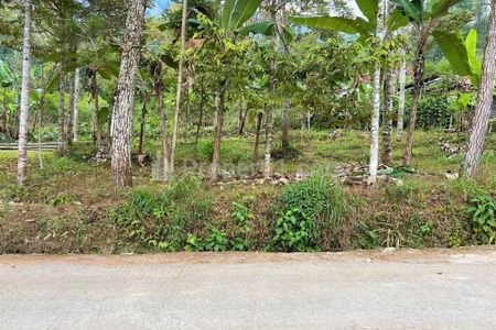 Dijual Kebun Durian dekat Pasar Kemuning Karanganyar - Luas 713 m2 SHM