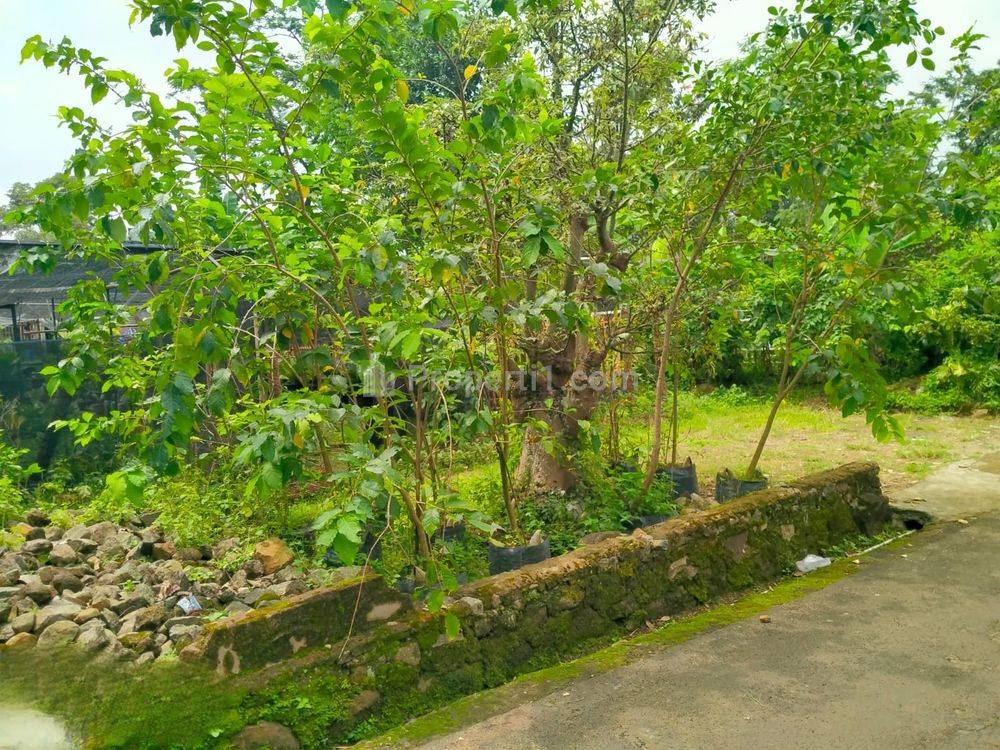 Dijual Tanah 400m2 dekat Patung Semar Karangpandan Karanganyar