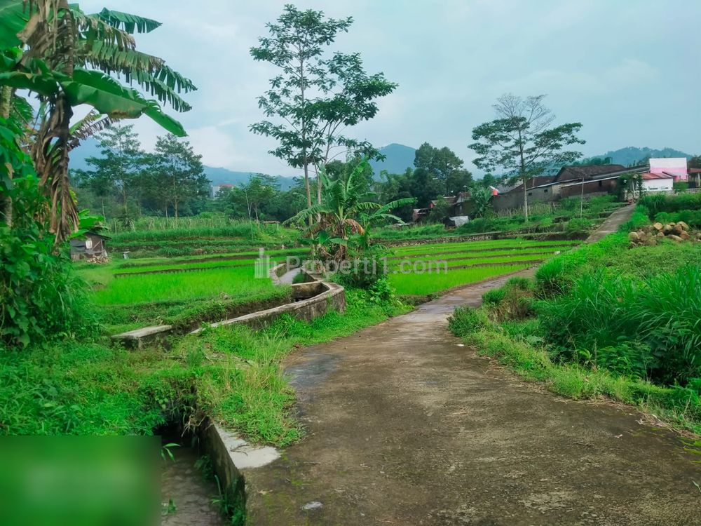 Dijual Tanah dekat Agro Wisata Amanah Karangpandan Karanganyar - Luas 2500m2