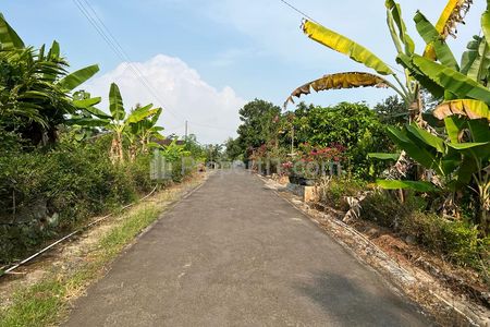 Dijual Tanah Kebun Durian 2000m2 Siap Panen di Mojogedang Karanganyar - Harga 300 Juta