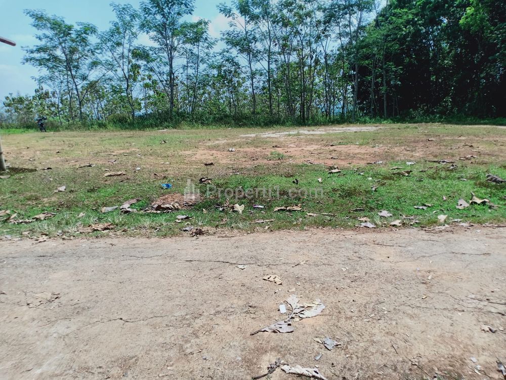 Dijual Tanah 3,7 Hektar dekat Pasar Karangpandan, Karanganyar