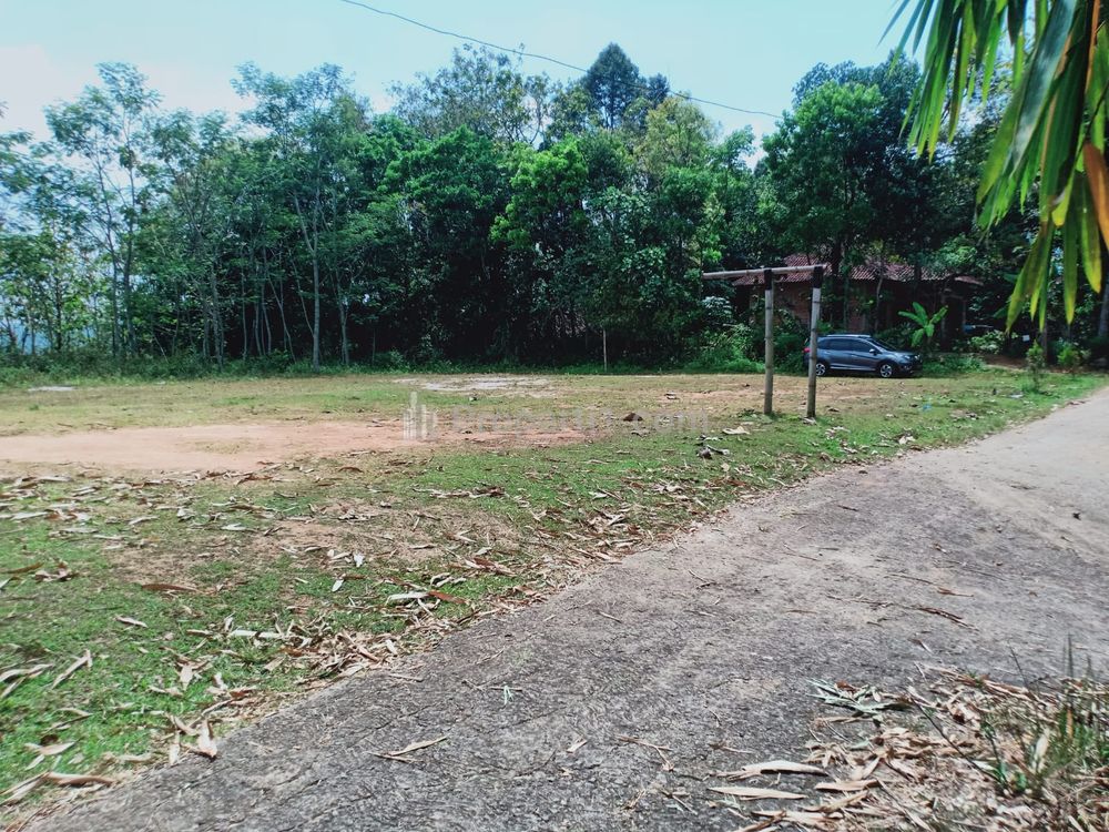Dijual Tanah 3,7 Hektar dekat Pasar Karangpandan, Karanganyar