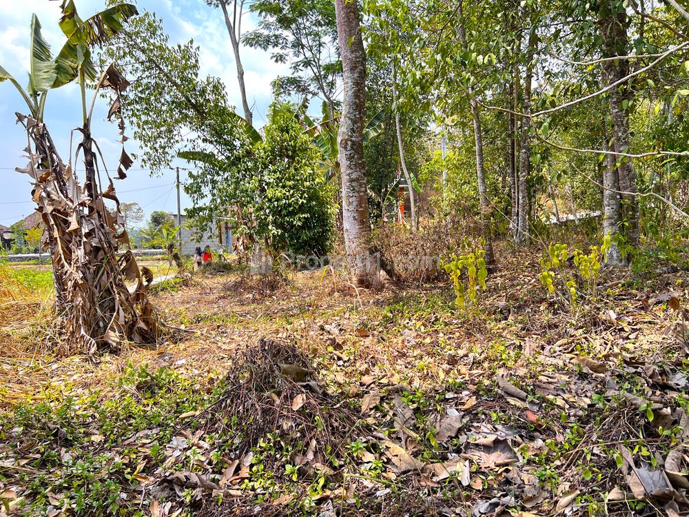 Dijual Tanah 1000m2 Siap Dibangun Villa di Karangpandan, Karanganyar