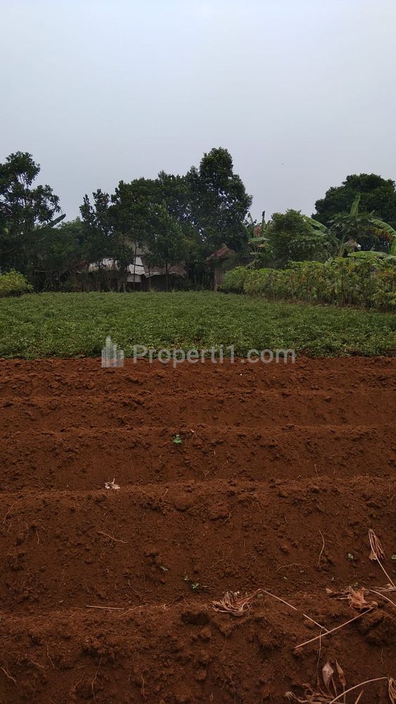 Dijual Cepat Tanah Luas 1000m2 dekat Kampus IPB di Kp. Cibeureum Tengah Desa Sinar Sari, Dramaga, Kab. Bogor