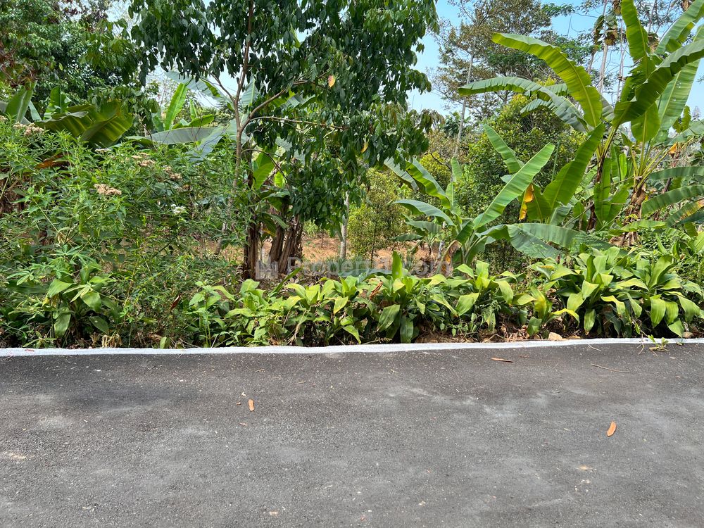 Dijual Tanah Luas 2000m² di Barat Pasar Kemuning Ngargoyoso Karanganyar