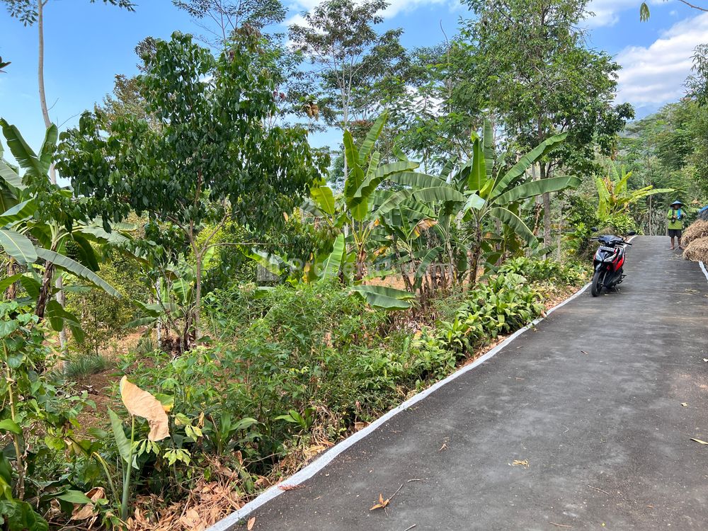 Dijual Tanah Luas 2000m² di Barat Pasar Kemuning Ngargoyoso Karanganyar