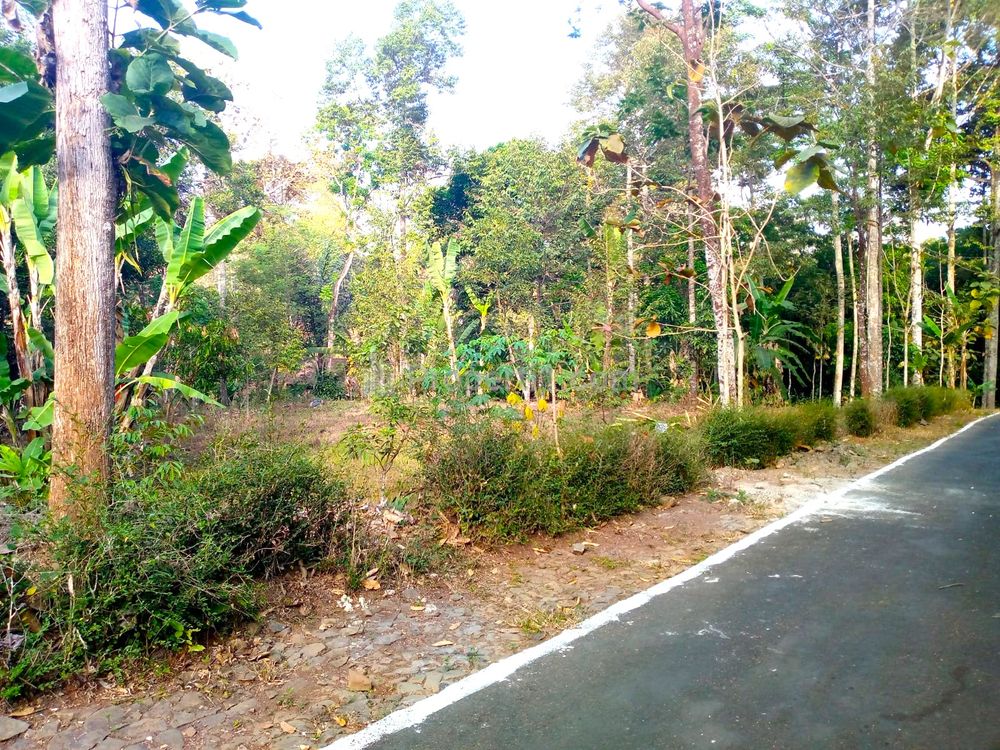 Dijual Tanah Kebun Durian 1100m² di Utara Pasar Mojogedang Karanganyar Jawa Tengah