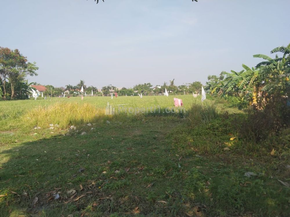 Dijual Tanah untuk Bangun Perumahan dekat Jalan Raya Pasar Babelan Kabupaten Bekasi