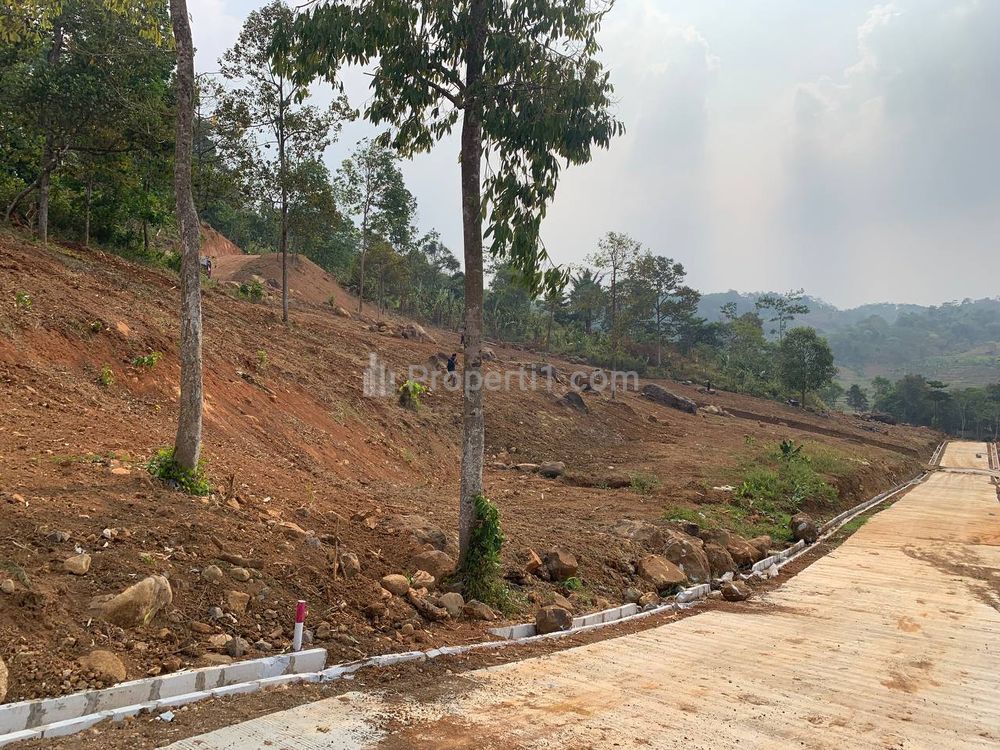 Jual Tanah Kebun Murah Masuk Mobil di Tanjungsari Bogor