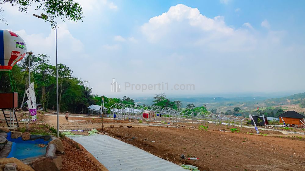 Jual Kavling Kebun Buah Anggur Pondok Kayu Aestethic dan Produktif di Cariu Bogor