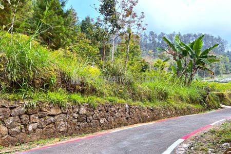 Dijual Tanah 1000m² Kawasan Hutan Pinus Kemuning Karanganyar Jawa Tengah