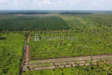 Dijual Murah Tanah Luas 30 Hektar di Peniti Kalimantan Barat