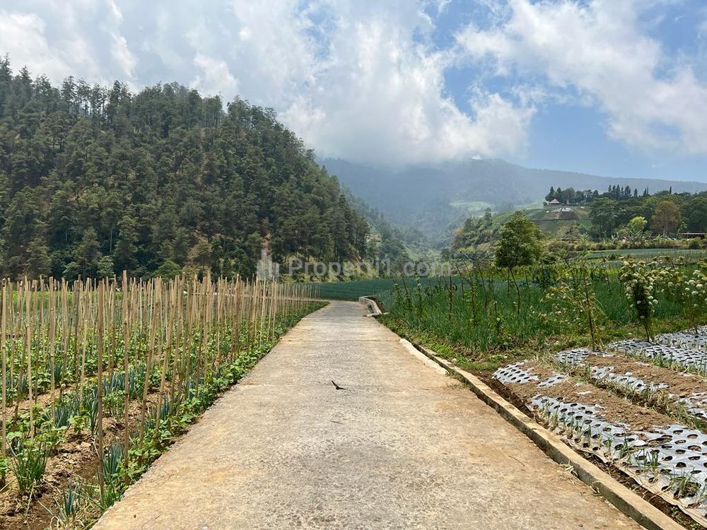Dijual Tanah 400m2 dekat Wisata Balekambang Tawangmangu Karanganyar