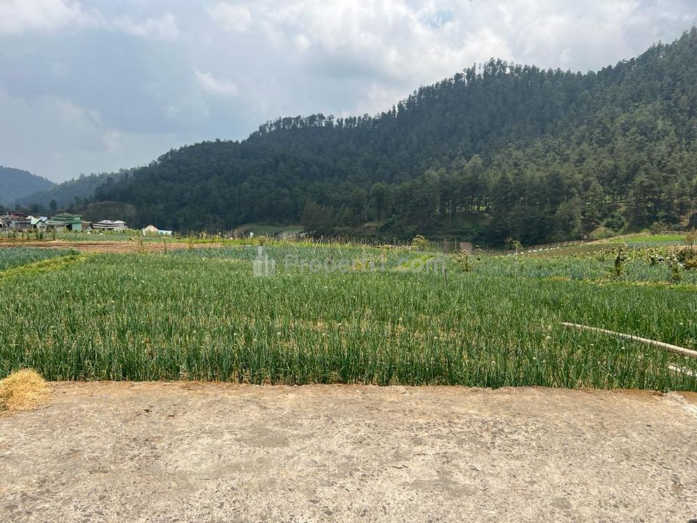 Dijual Tanah 400m2 dekat Wisata Balekambang Tawangmangu Karanganyar