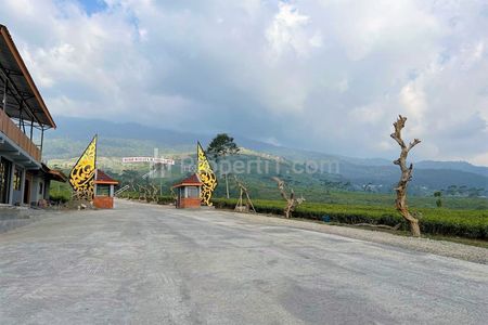 Dijual Tanah Datar View Kebun Teh & Jembatan Kaca di Kemuning, Ngargoyoso, Karanganyar - Harga 160 Juta