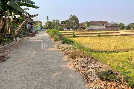 Jual Tanah Sawah Luas 845m² 225 Juta di Kedawung Sragen Jawa Tengah