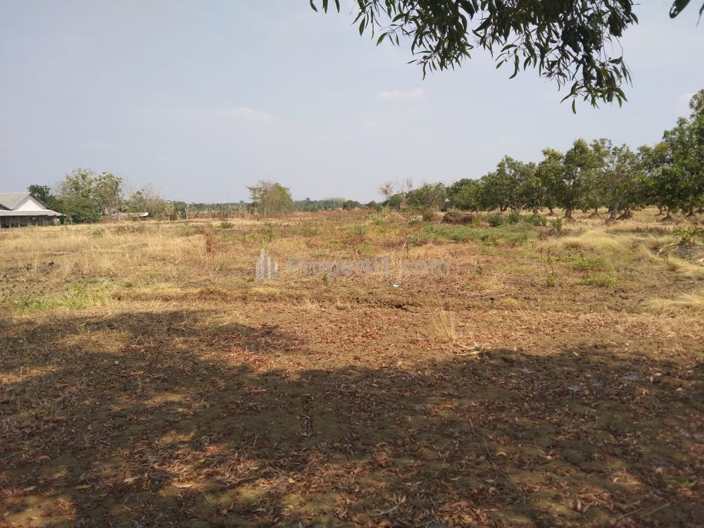 Dijual Tanah untuk Perumahan atau Kavling di Pinggir Jalan Gantar Babakan Dampyang Indramayu