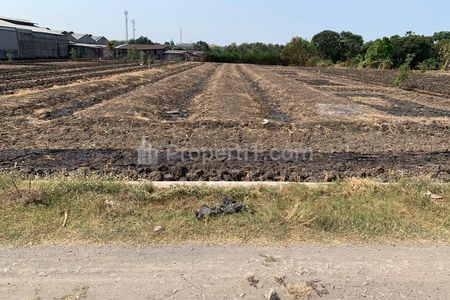 Jual Tanah Area Industri di Jalan Raya Domas Menganti Kabupaten Gresik - Luas 2.396 m2